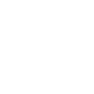 Snyder Insurance